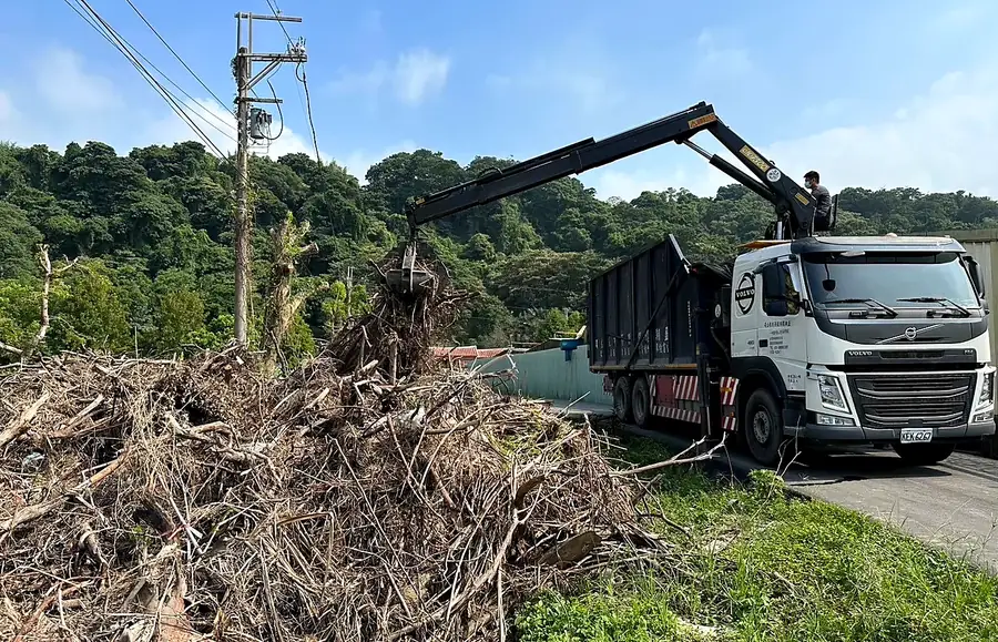 樹枝與植物性殘材清運案例